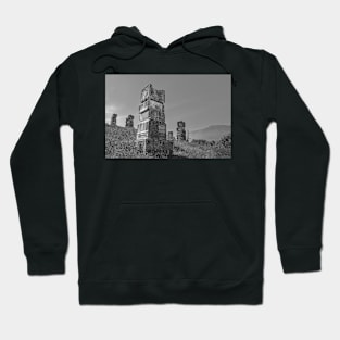 Garavice Hoodie